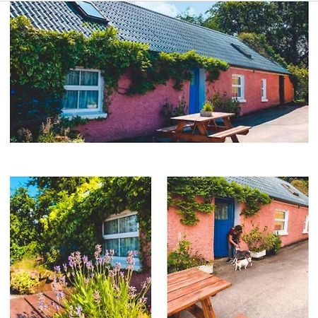 Wisteria Cottage Балликоннелл Экстерьер фото