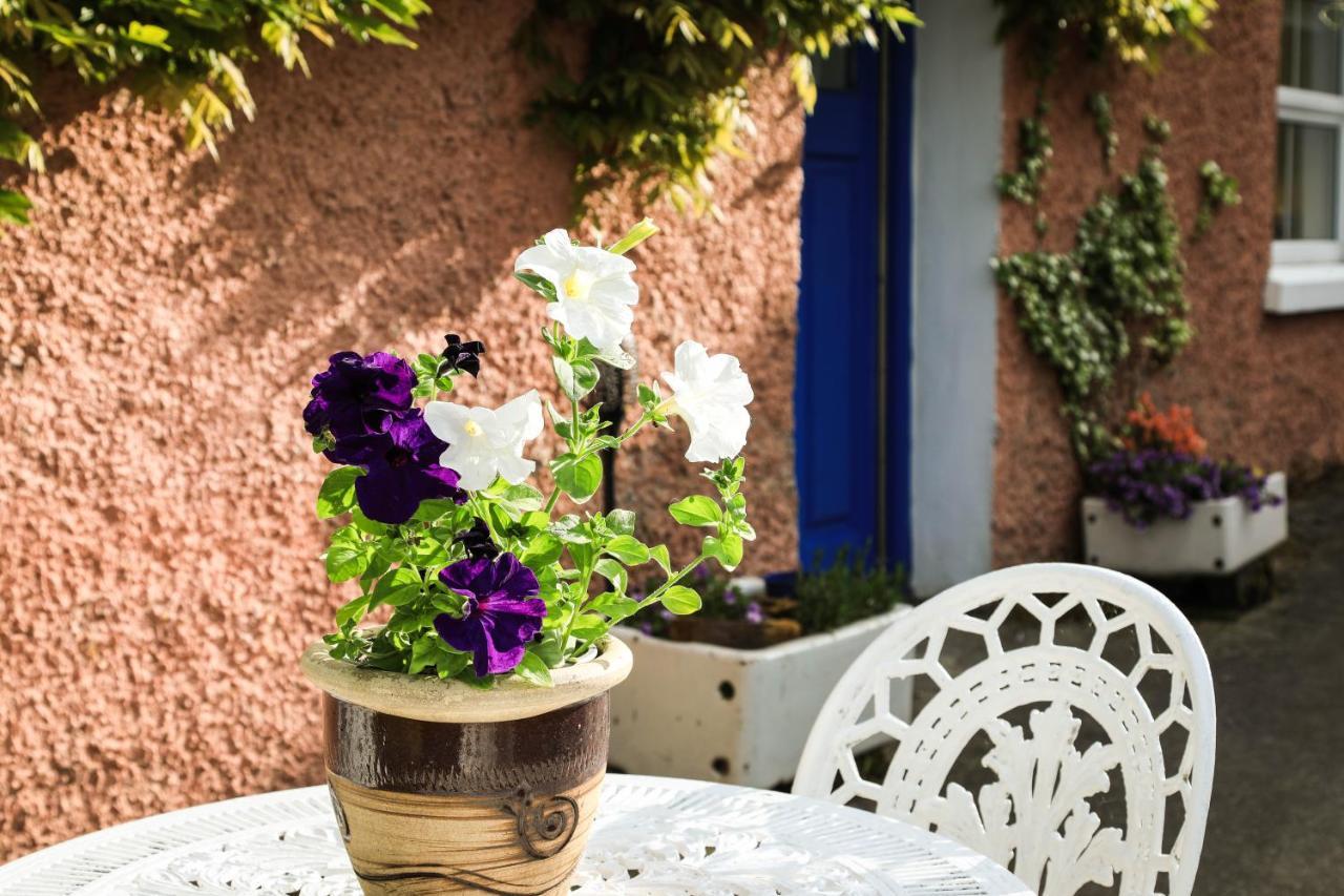 Wisteria Cottage Балликоннелл Экстерьер фото